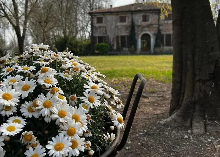 Villa: Agriturismo Corte San Girolamo