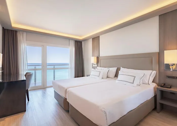 Hôtel accueillant les animaux: Melia Alicante