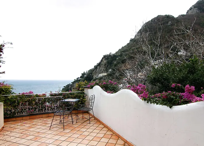Pets Allowed Hotel Positano Art Pasitea