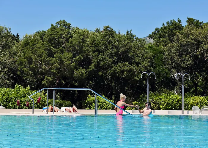 Hôtel accueillant les animaux: Valamar Tirena Hotel