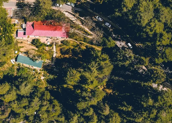 4 star hotel: Seclude Shimla, Taraview