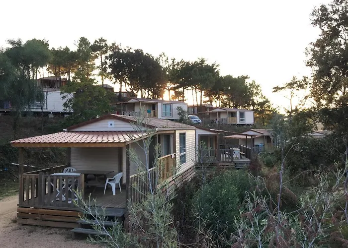 Camping Tikiti