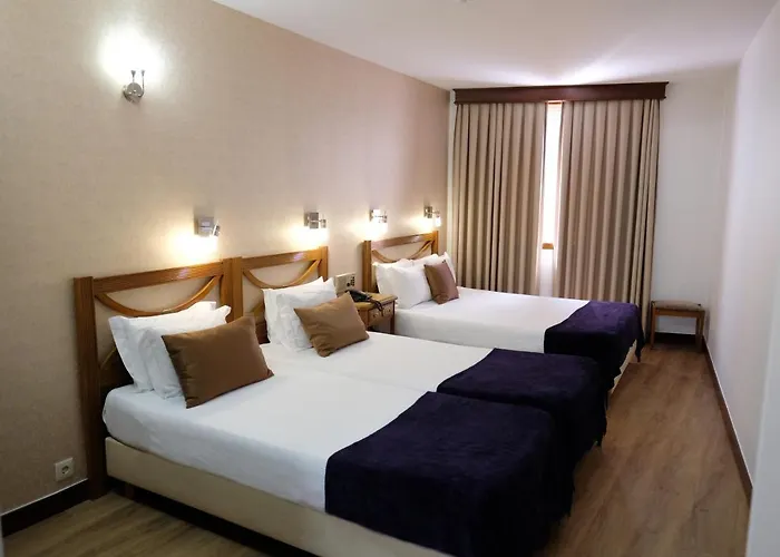 Perros hoteles Dona Sofia