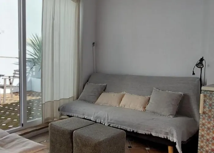 Puro Vejer