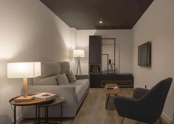 Pet Friendly hotel: Hotel Tayko Bilbao