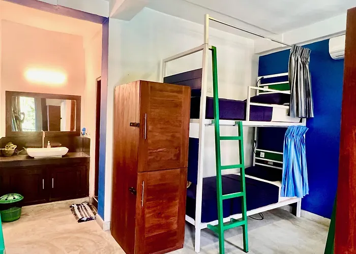 The Hostels Downtown s Ella