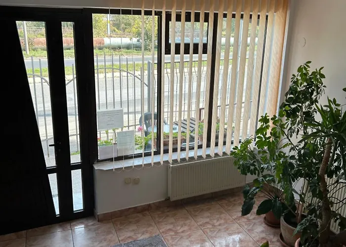 Pets Allowed Hotel Pensiunea Floare De Colt