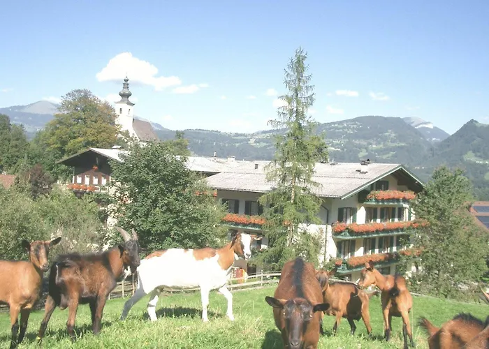 Hotel mit Hund Torrenerhof