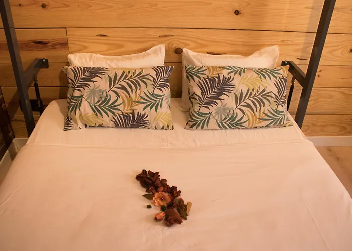 Dog friendly hotels Amelia By Gaiarooms