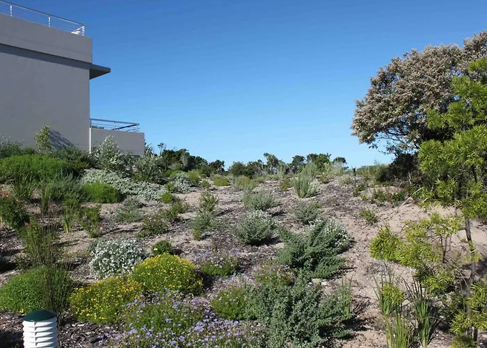 Bungalow rentals Robberg Beach - Lion Roars Hotels & s