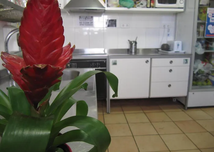 Auberge: Mellow Barcelona