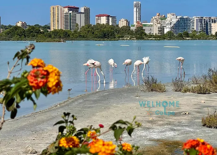 Calalga Сasa Frente A La Playa Con Piscina Privada
