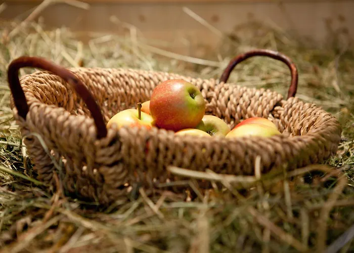 Luxushotel: Pension Alwin