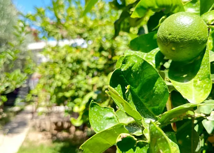 Kaleici Aparts Antalya