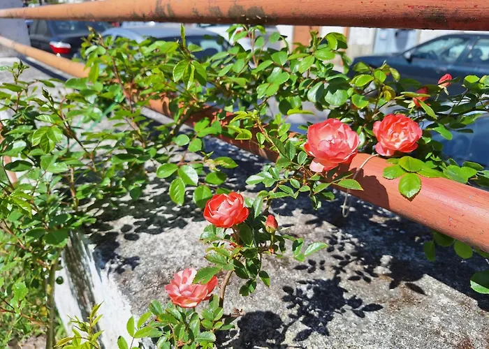 Albergue: Villa Margarida