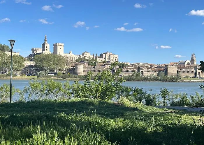 Camping Du Pont D'Avignon