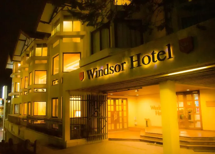 Ping Pong hotel: Windsor Hotel