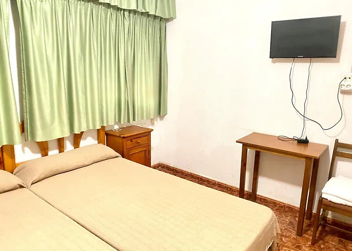Perros hoteles Pension Americano