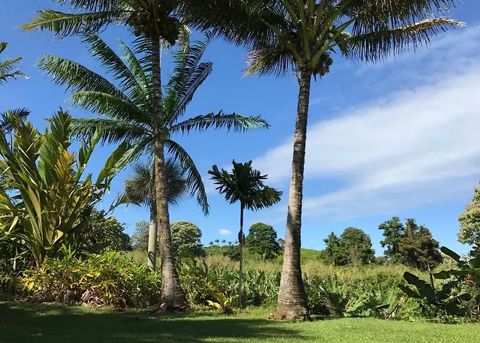 Island Goode'S - Luxury Adult Only Accommodation Near Hilo