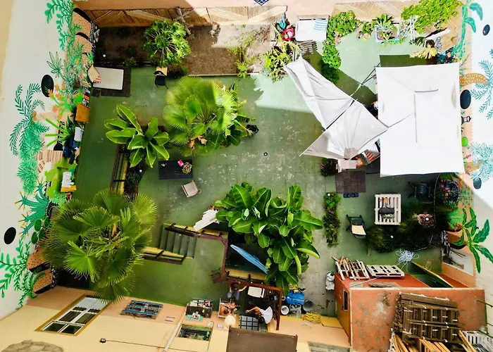 Hotel cerca del colegio: Jungle House