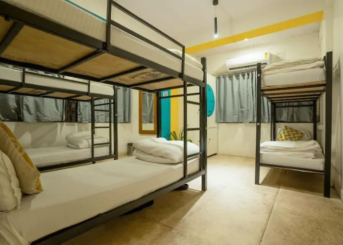 Pets Allowed Hotel Locomo Express - Stay Work Eat