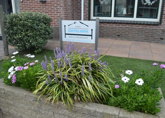 Effe-Zoutelande B&B