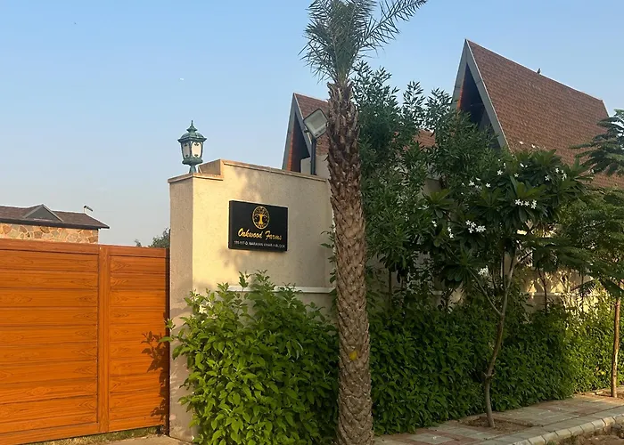 Elivaas 7Bhk Oakwood Manor With Pools & Lush Garden