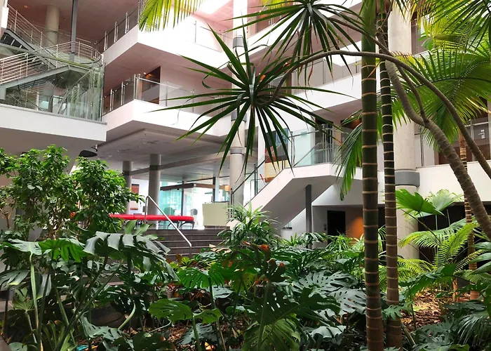 Hotel de 4 estrellas: Port Elche