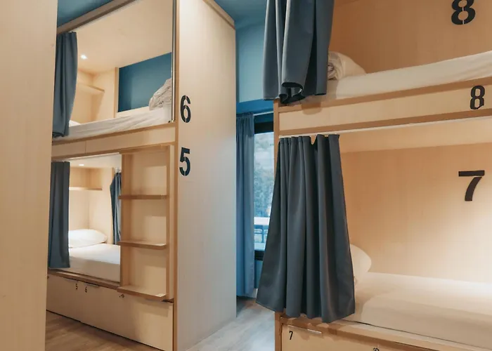 Hotel nahe College: Mola Hostel