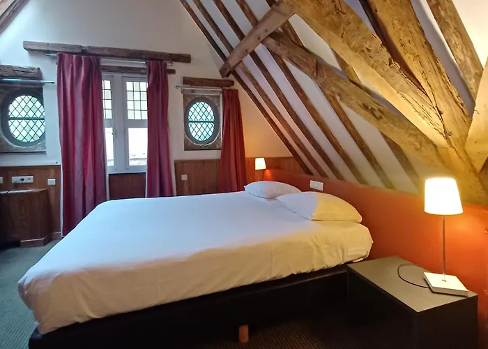 Pet Friendly hotel: Hotel Koffieboontje