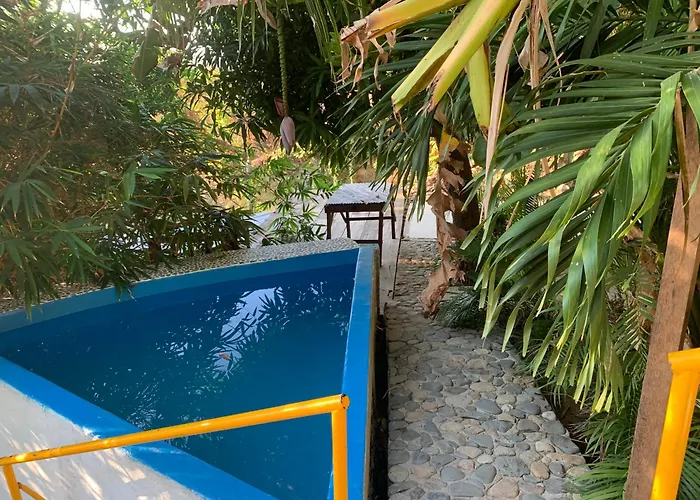 Perros hoteles Donde Mira El Sol