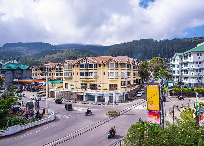 Ping Pong hotel: Windsor Hotel