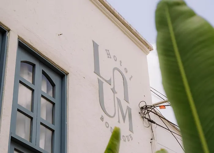 Hotel cerca del colegio: Poblado Luum Boutique Hotel