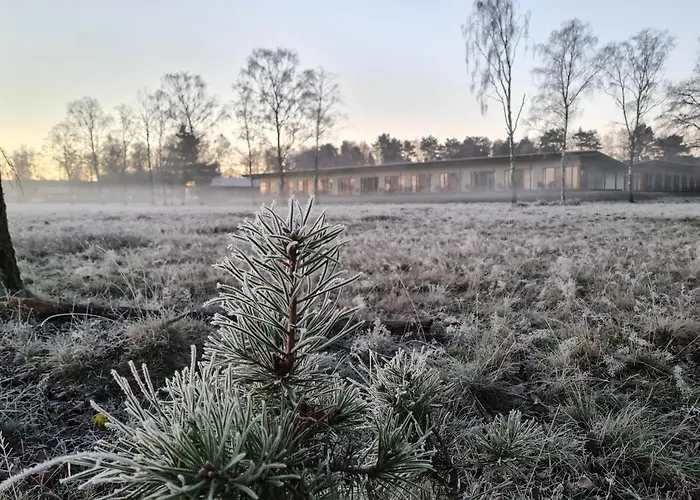 Hotelcamp Reinsehlen