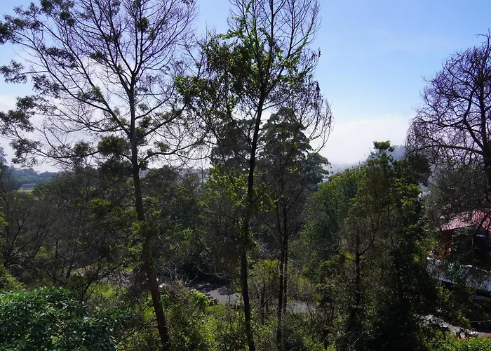 Kodai Drizzle - A Luxury Villa