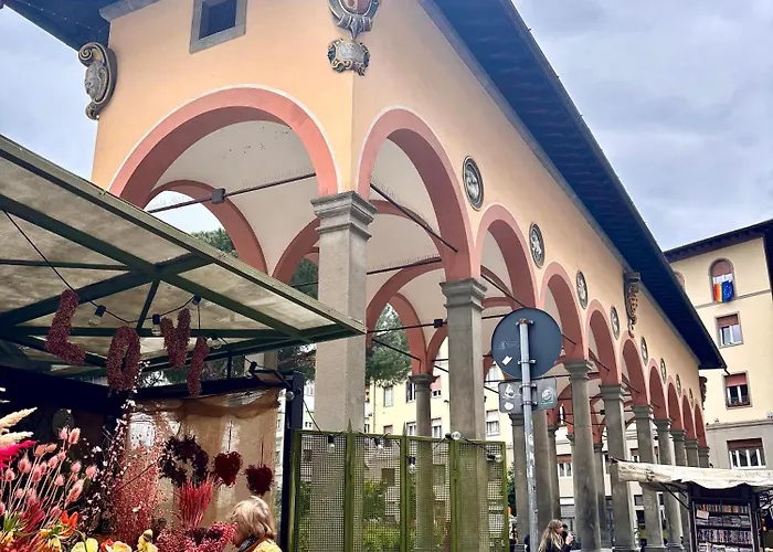 Affittacamere Medusa