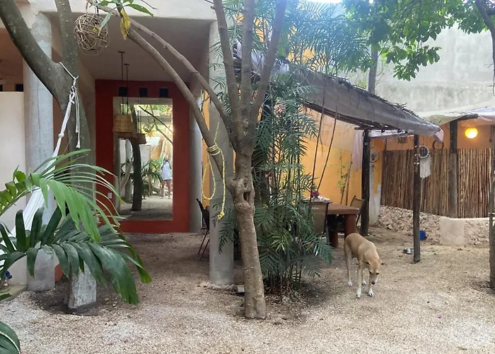 Quinta Salamandra