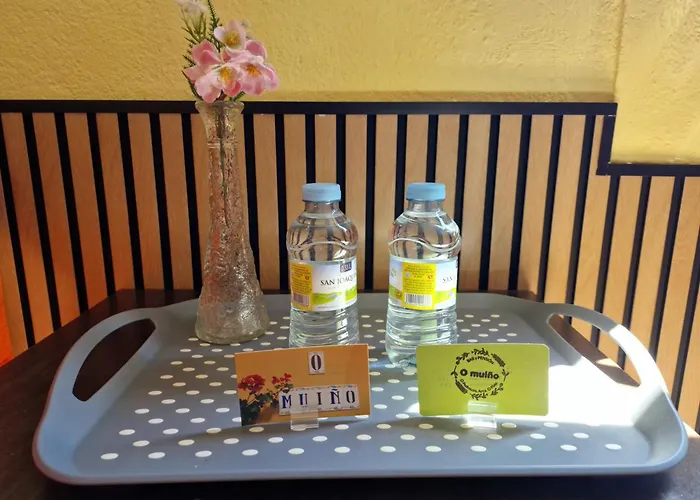 Hotel que admite mascotas: Pensión O Muiño