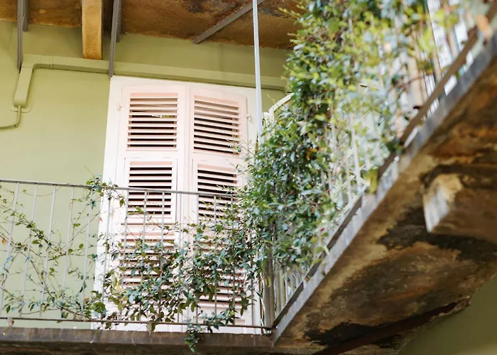 Hôtel accueillant les animaux: Tomato Urban Retreat