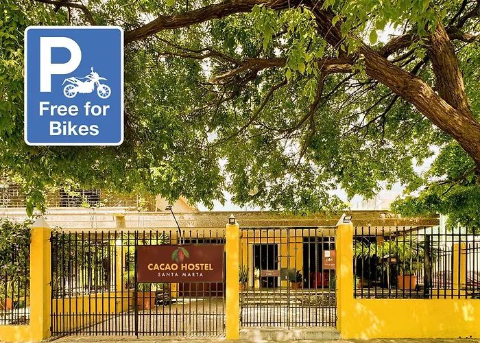 Cacao