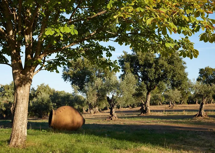 Cabina: Finca El Azahar