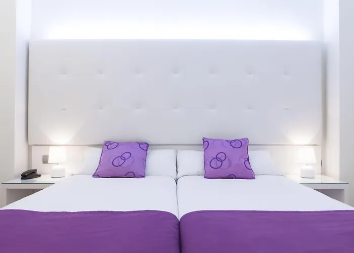 Hôtel accueillant les animaux: Hotel Albahia Alicante