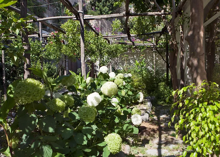 3 star hotel: Hotel Pupetto