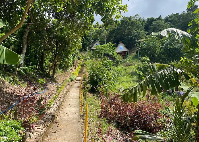 Forest Camp El Nido