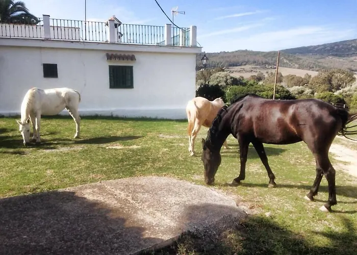 -Apart CORTIJO LAS PIÑAS