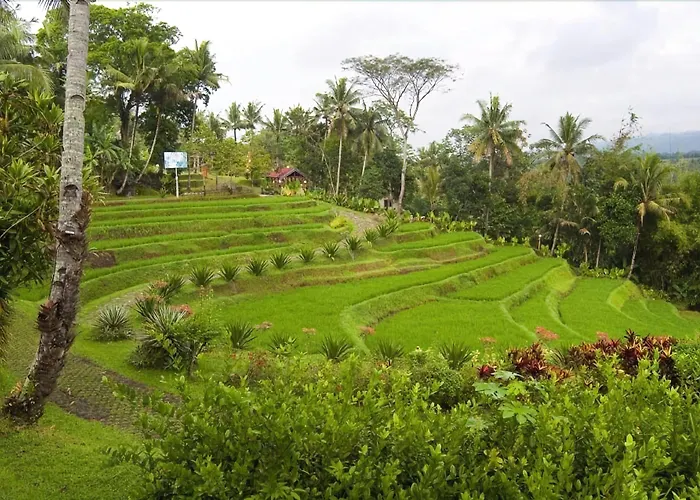 Puri Asri Hotel & Resort