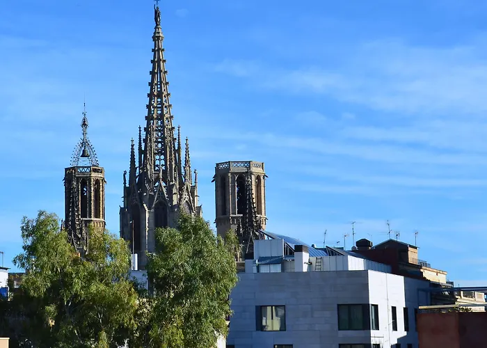 Aspasios Catedral s