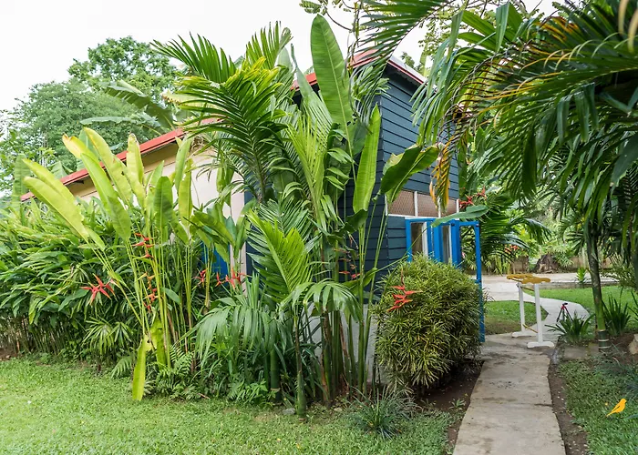 Canary Guesthouse