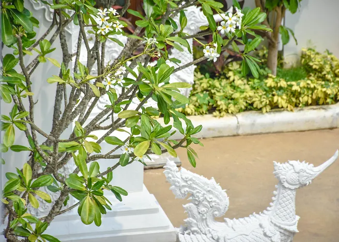 White Boutique And Spa