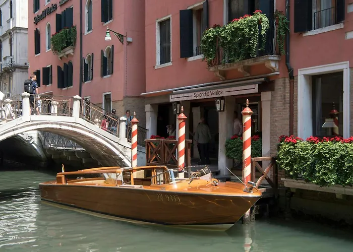 Hôtel accueillant les animaux: Splendid Venice - Starhotels Collezione